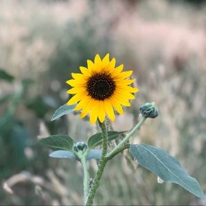 Meet your Posher, Hailey